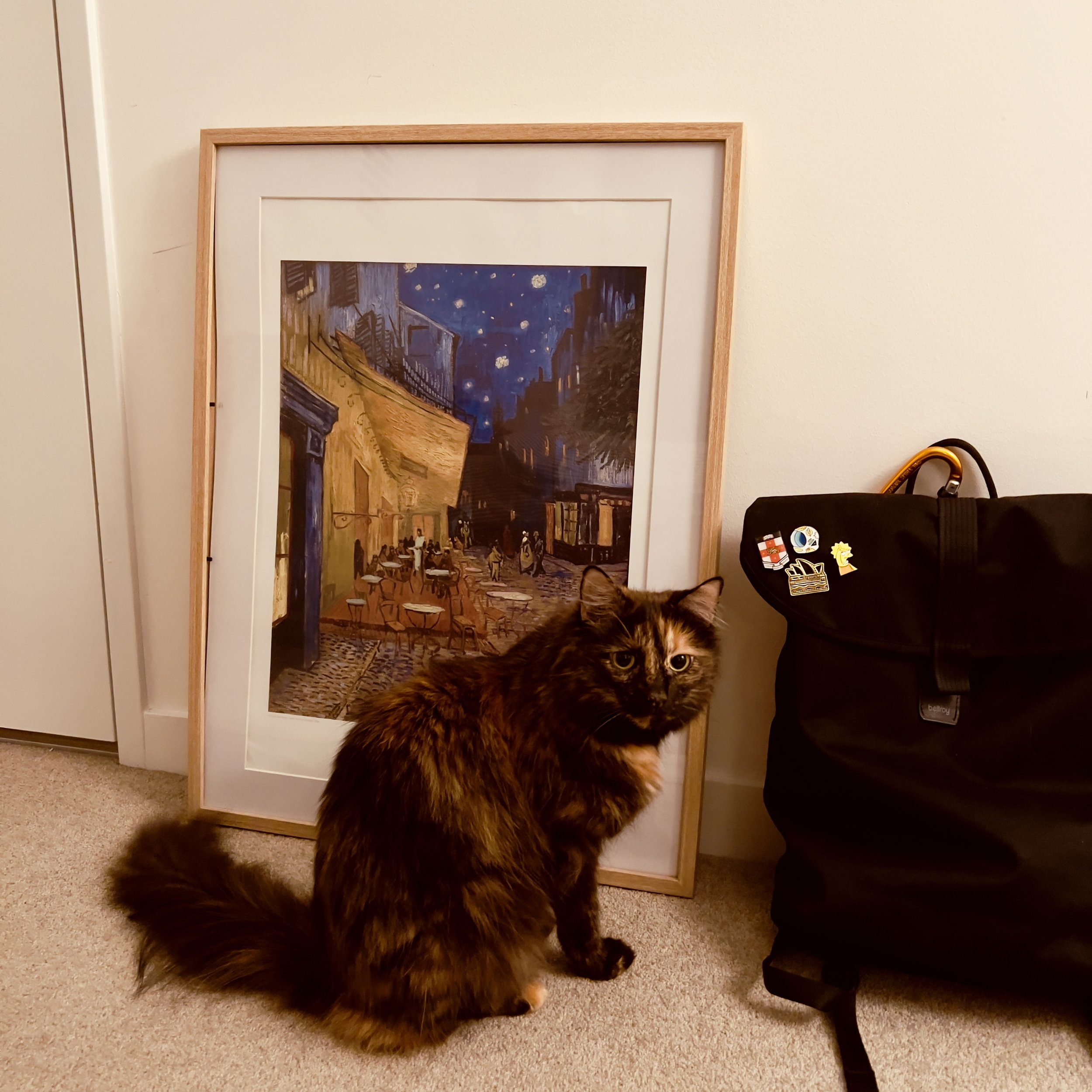 IMG_0341.jpeg