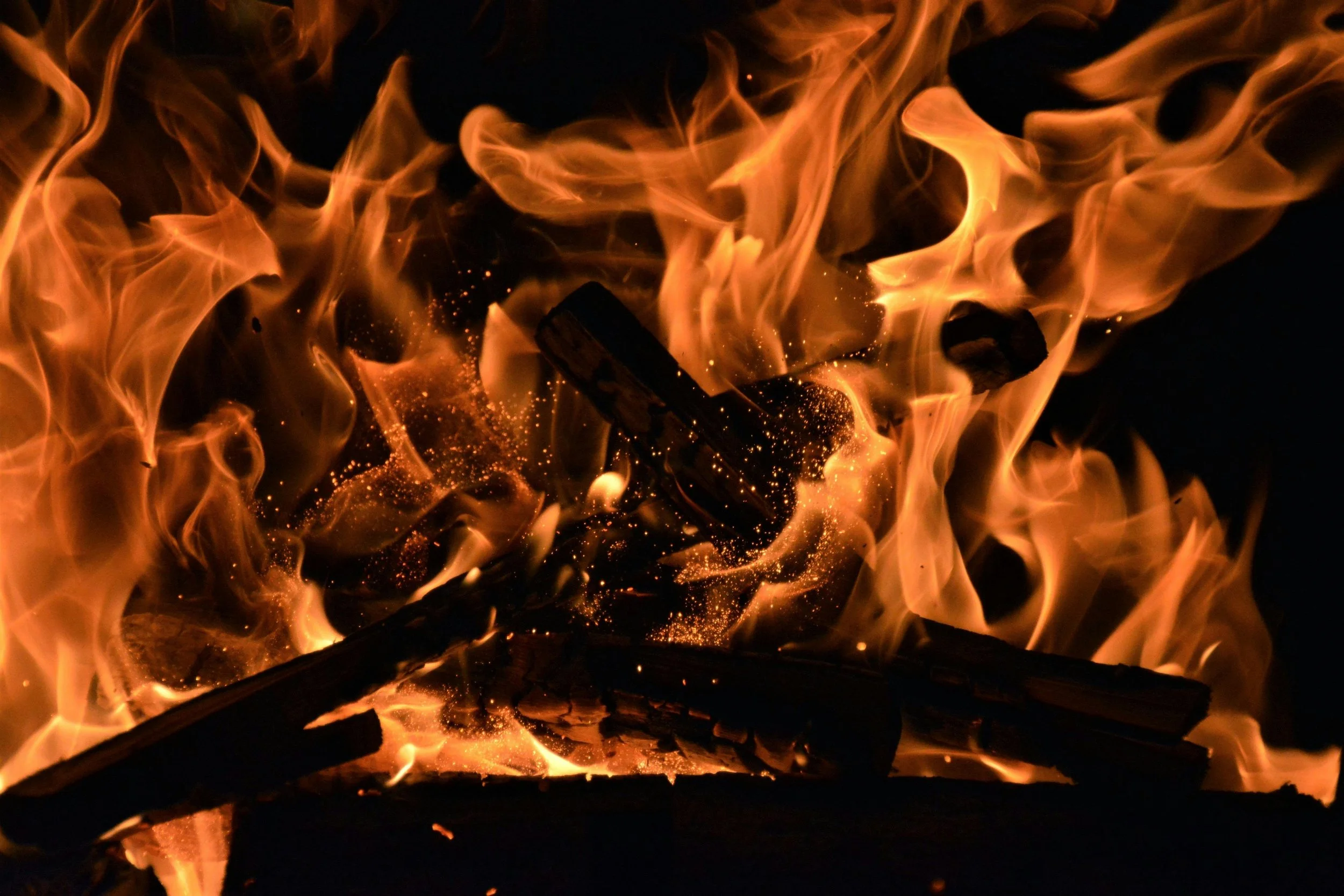 pexels-pixabay-266388.jpg