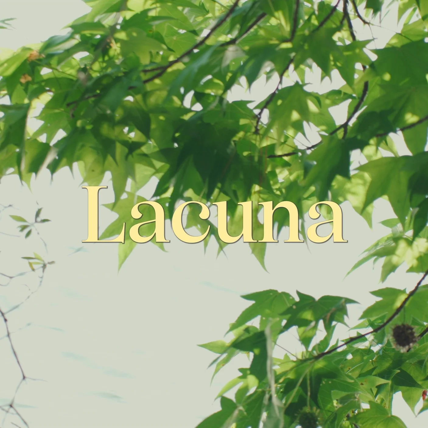 lacuna trailer.00_00_21_20.Still011.jpg
