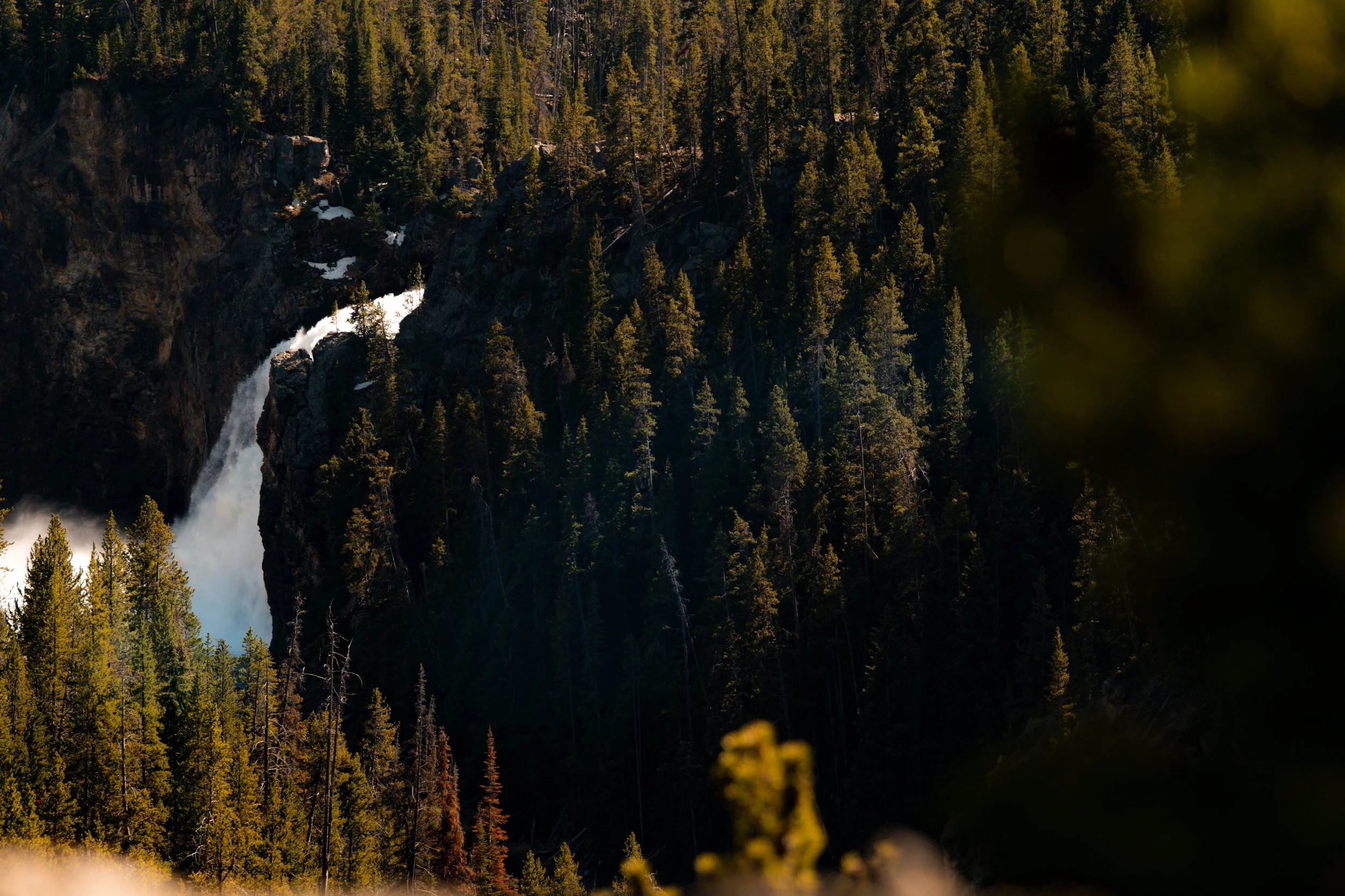 YELLOWSTONE-36.jpg