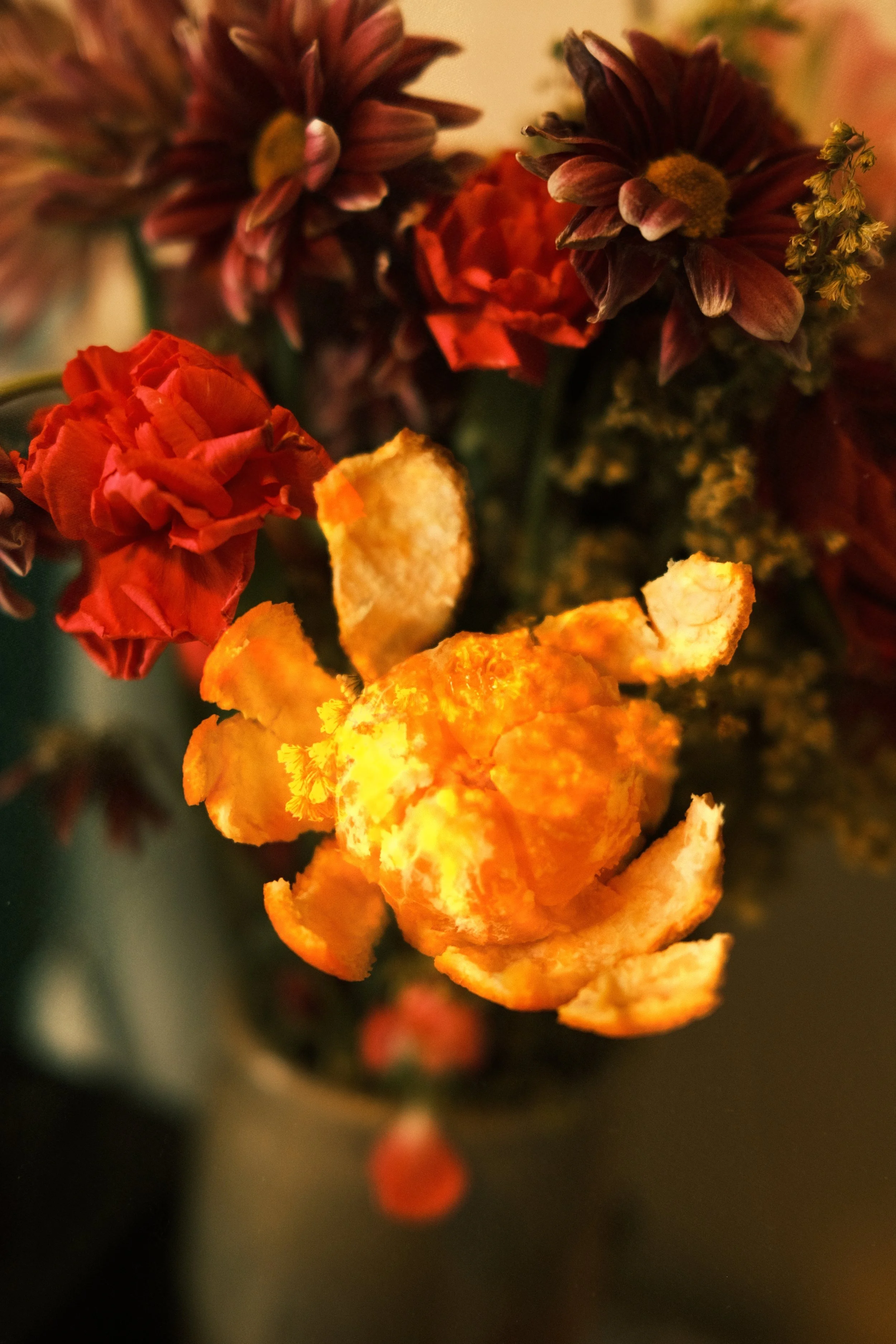 DSCF5919.jpg