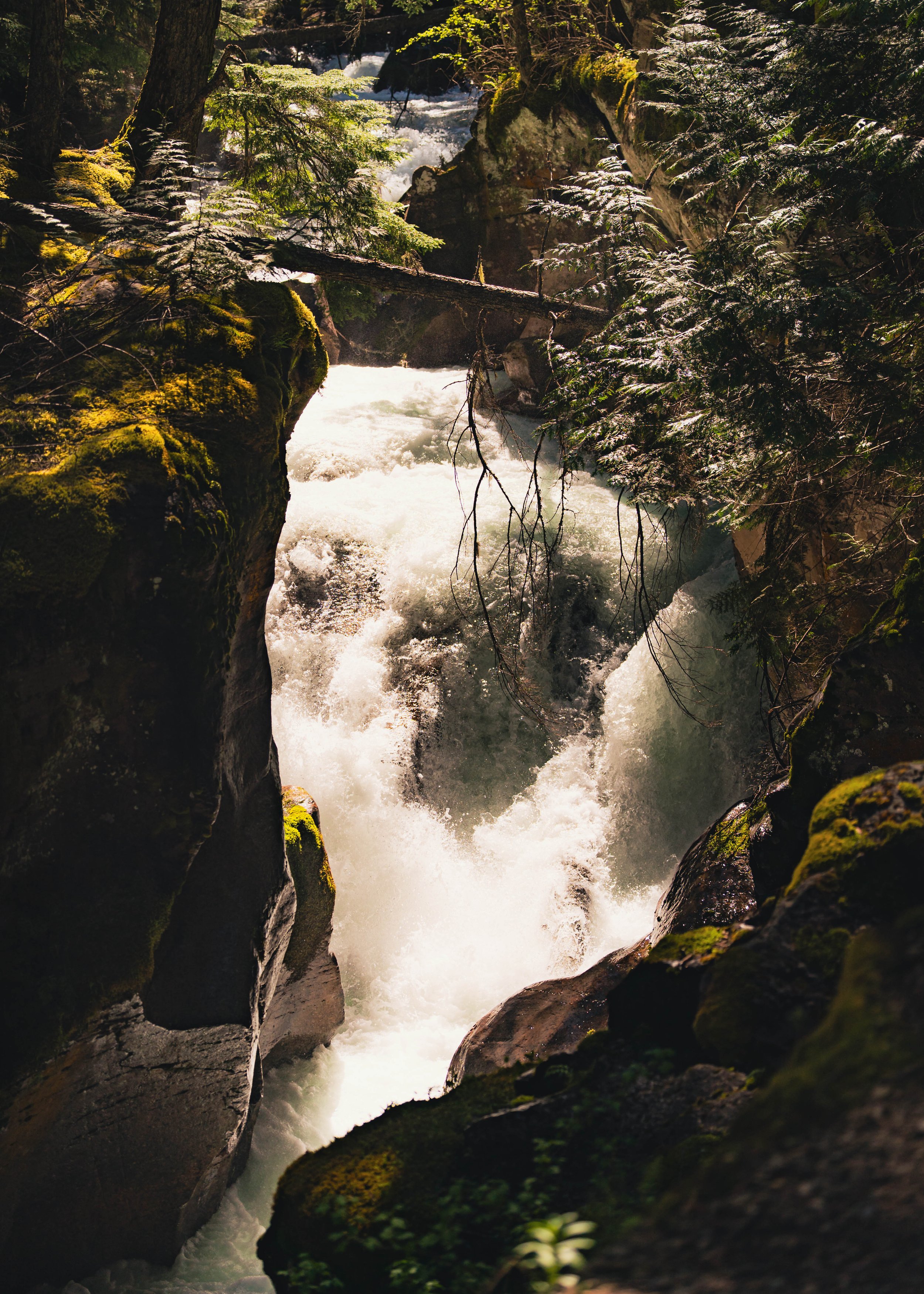 GLACIER-4.jpg