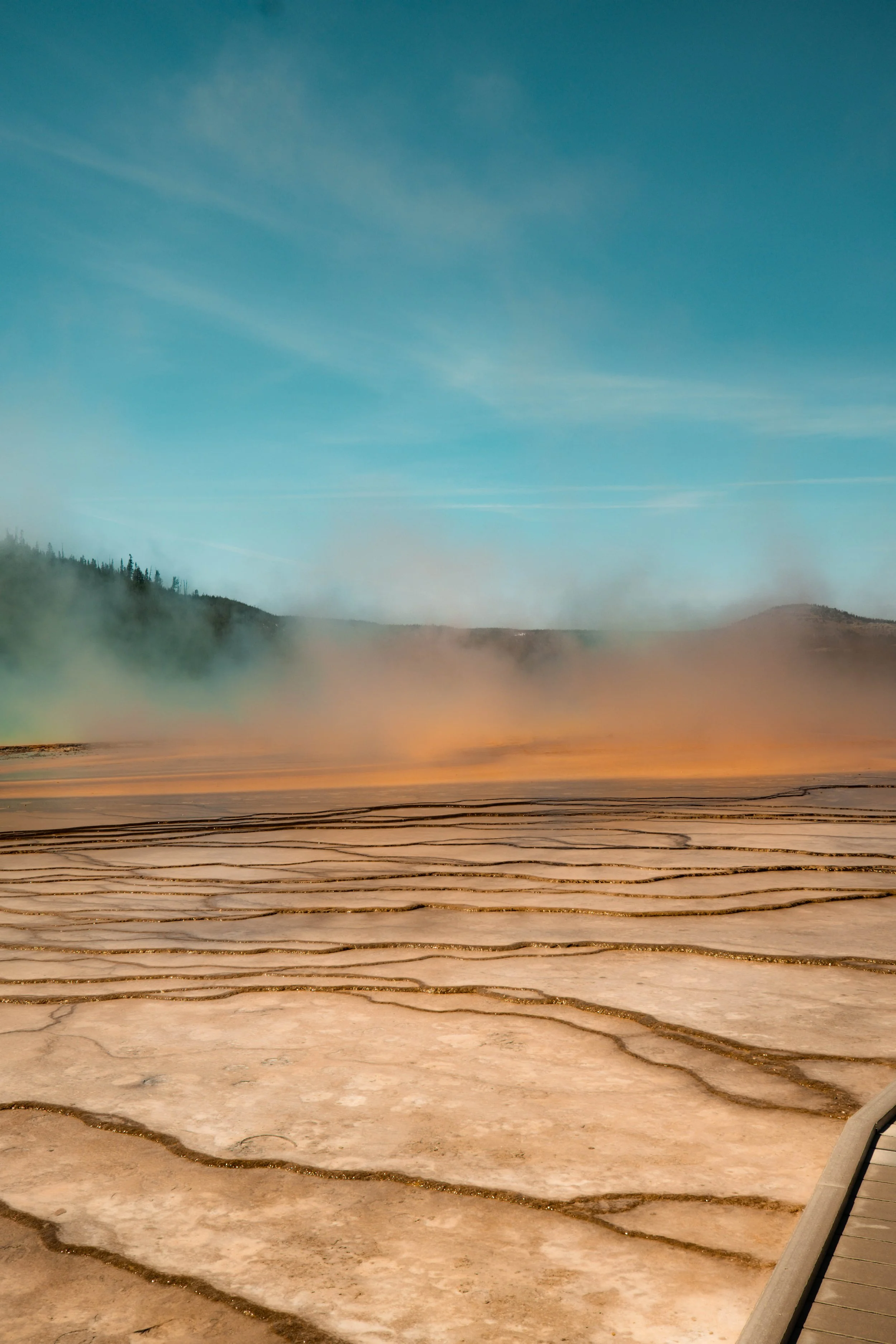 AM_Yellowstone-11.jpg