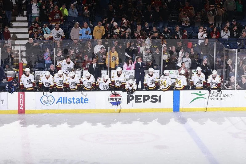 Chicago Wolves Recap: Moose, Wolves and Other Forest Creatures ...