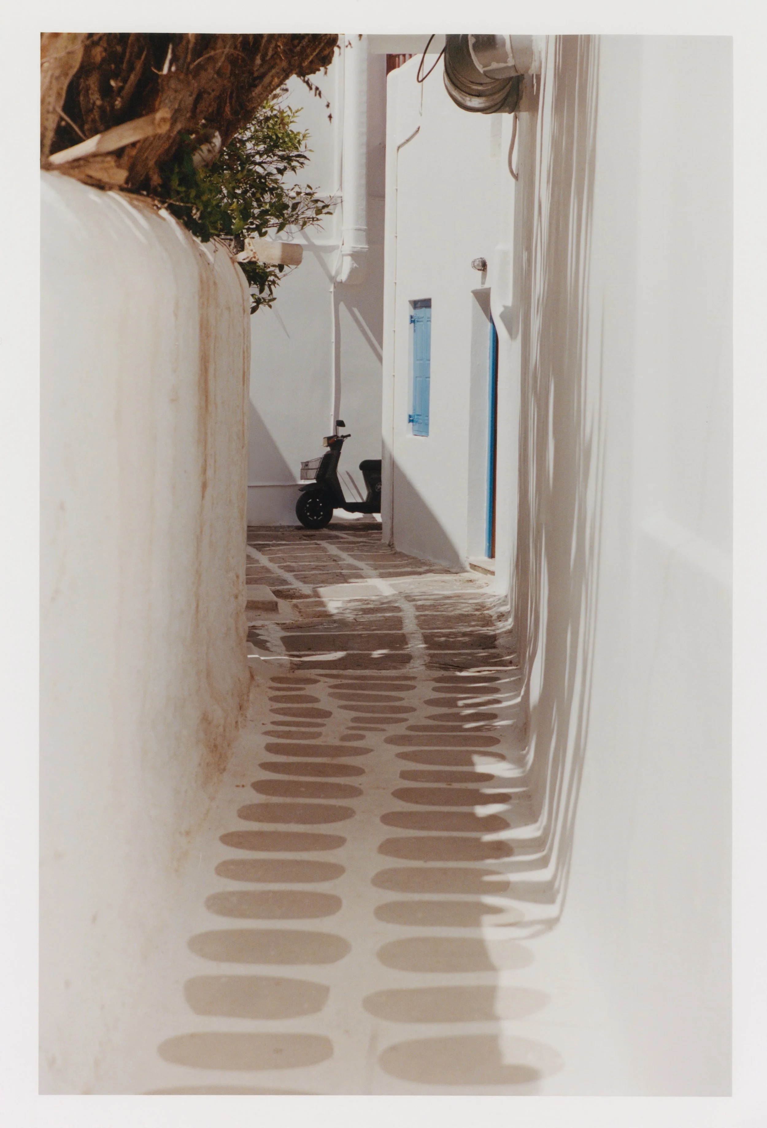 57590_TaylorColgate (8)_Final (1).jpeg