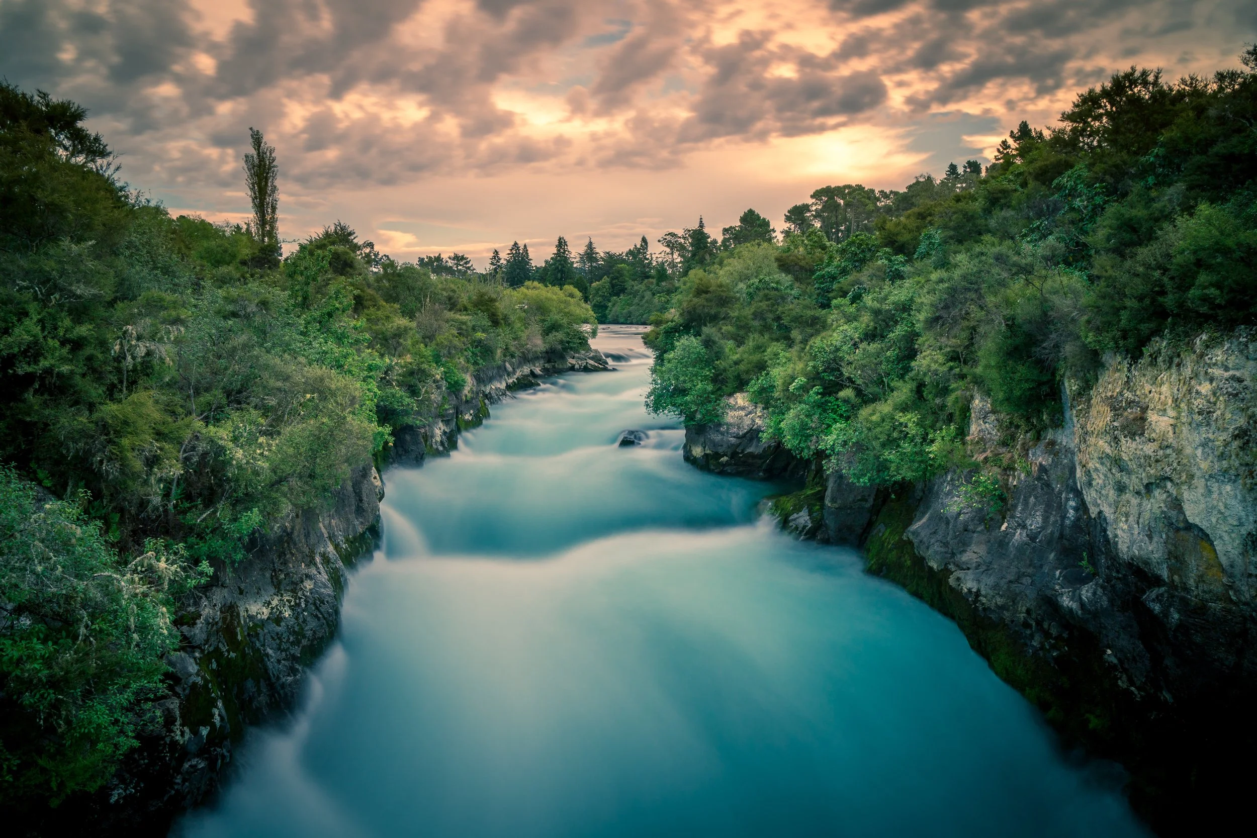 AdobeStock_194954802.jpeg