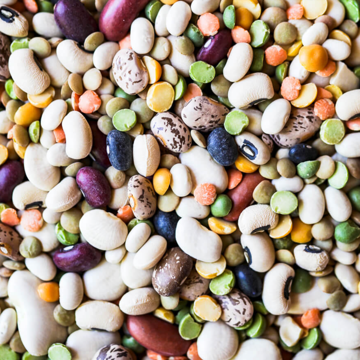 Legume seed