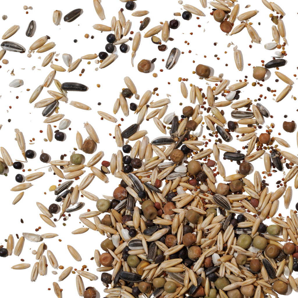 Untitled design-147.png