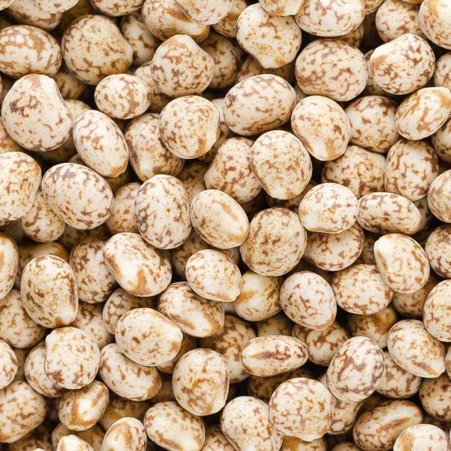 Lupin seed