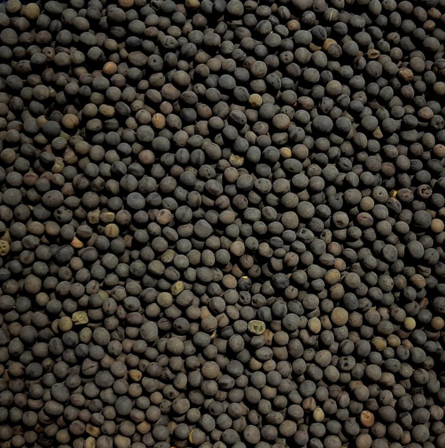 Screenshot 2026-03-12 at 8.59.31 am.png