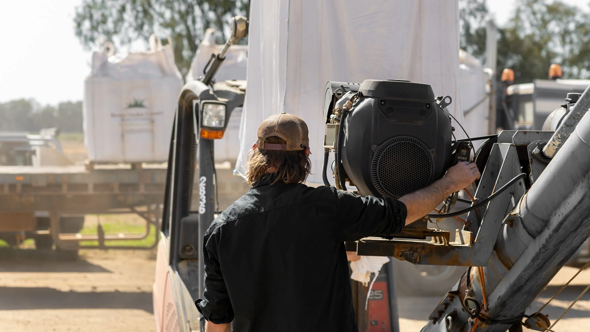 Seeds — Down Under Covers