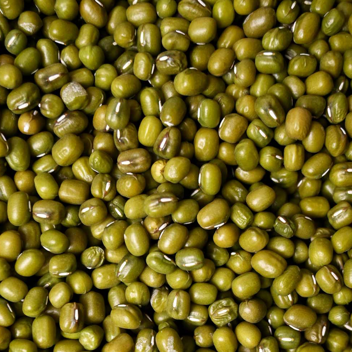 Mung Bean seed