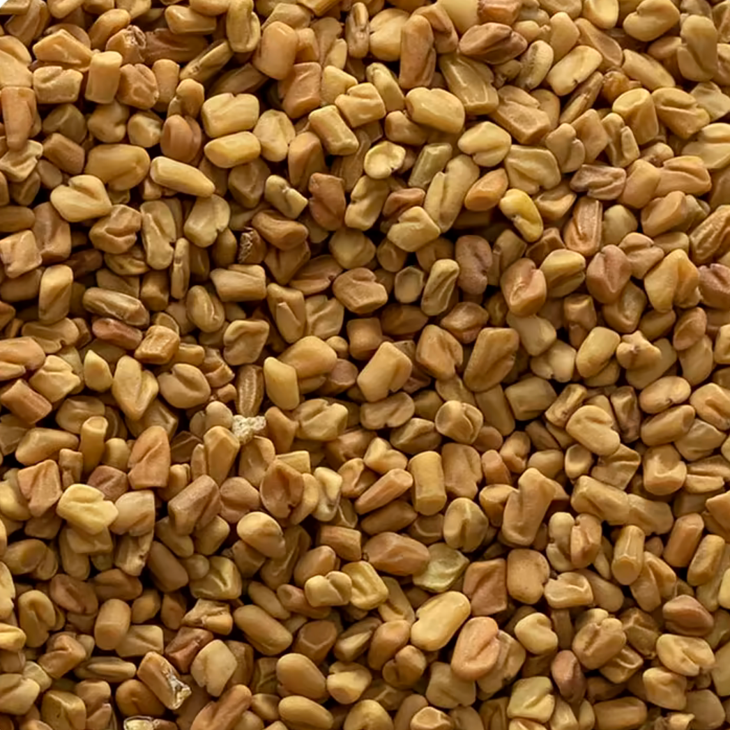 Fenugreek seed