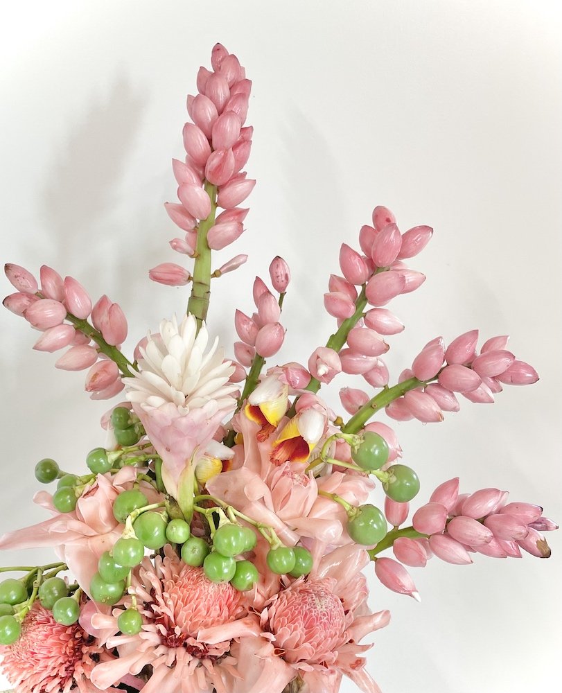 pinks 3.jpg