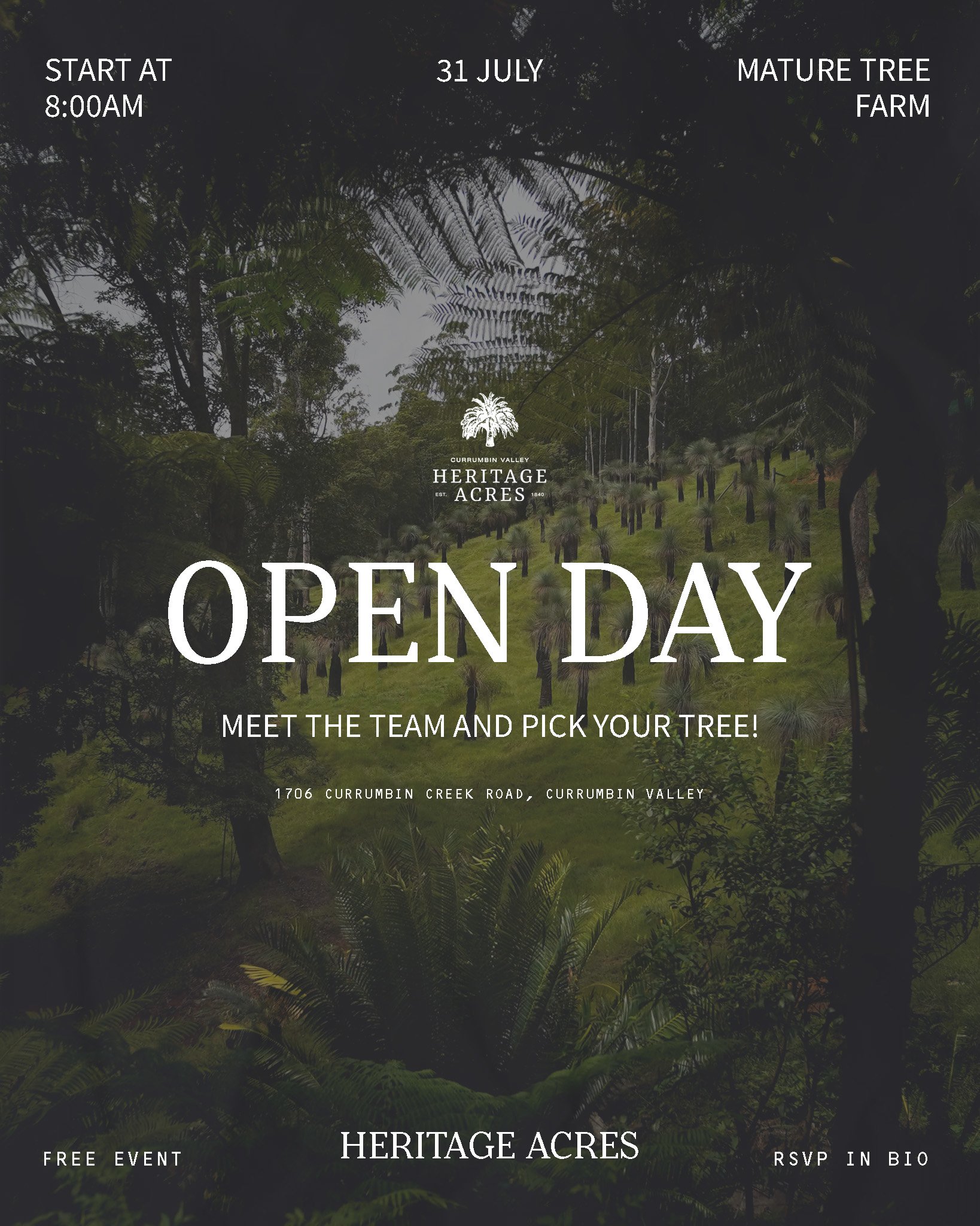 Join us for the Heritage Acres Open Day 🌳

📍 Location: 1706 Currumbin Creek Road, Currumbin Valley
🗓 Date: Thursday, 31st July
⏰ Time: 8:00 AM - Lunch time

Come and explore our beautiful tree farm,  where you'll find a stunning range of mature fe