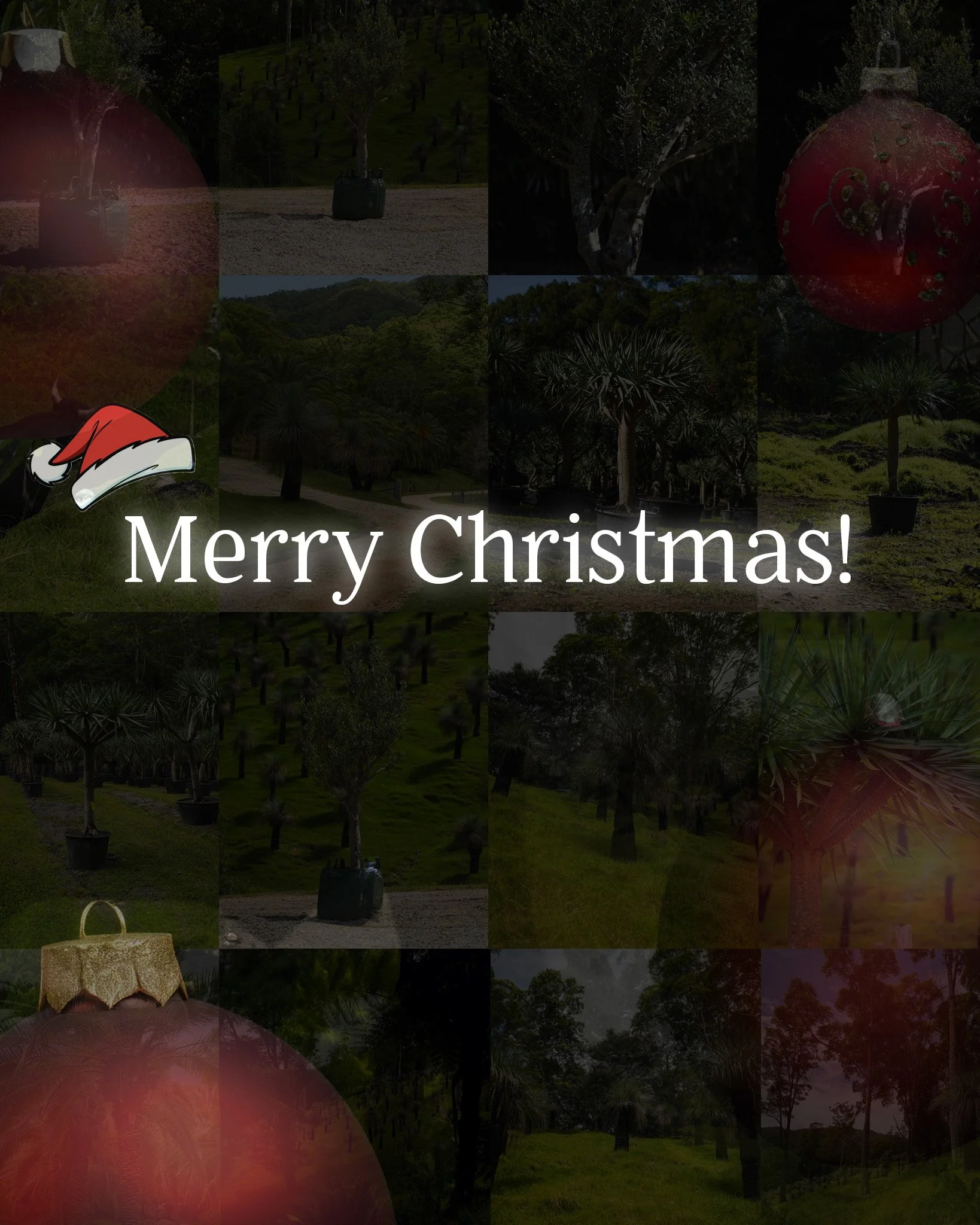 Merry Christmas from the team at Heritage Acres 🎄

Wishing you all a happy, safe, and relaxing holiday season. Thank you for your support throughout the year, we look forward to continuing to provide exceptional service and premium trees to your pro