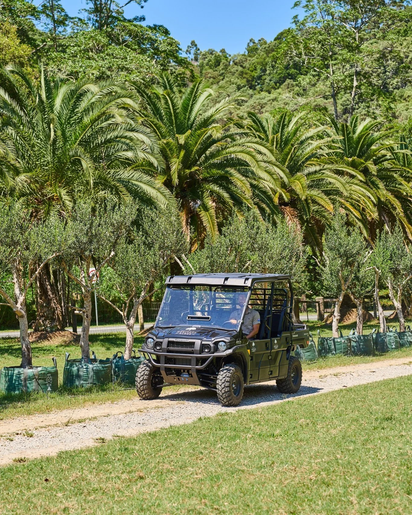 Ready to choose your dream tree? 🌳

Get in touch today to schedule your farm tour to roam the farm in the new Heirtage Acres Mule and hand pick your perfect tree 🌳

#heritageacres #treefarm #maturetreefarm