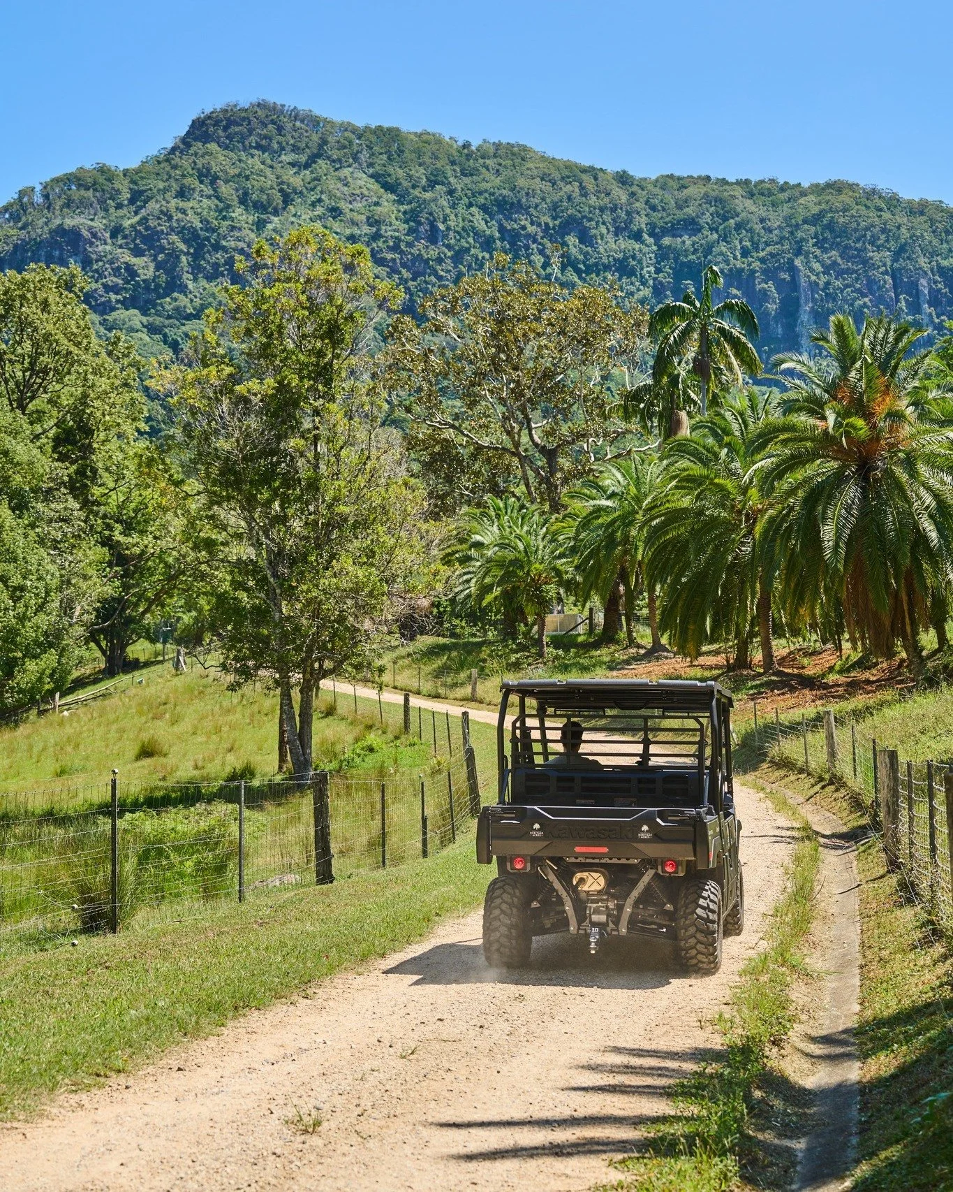 When you join us for your scheduled tree farm tour, take a moment to soak in the sweeping views that Currumbin Valley has to offer ⛰️

At Heritage Acres it&rsquo;s not just about selecting premium trees - it&rsquo;s also the premium experience 🌳

#h