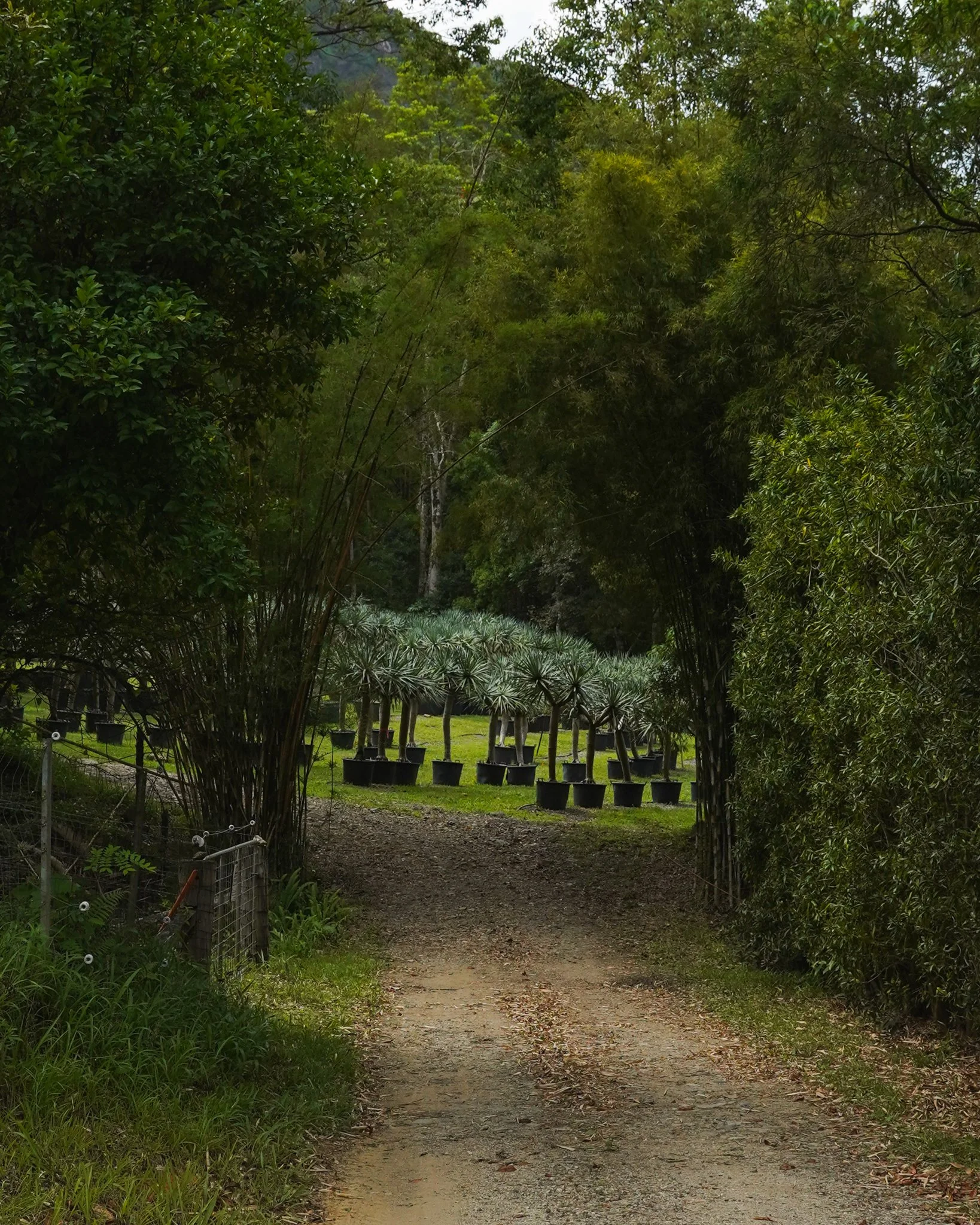 Heritage Acres Currumbin Valley