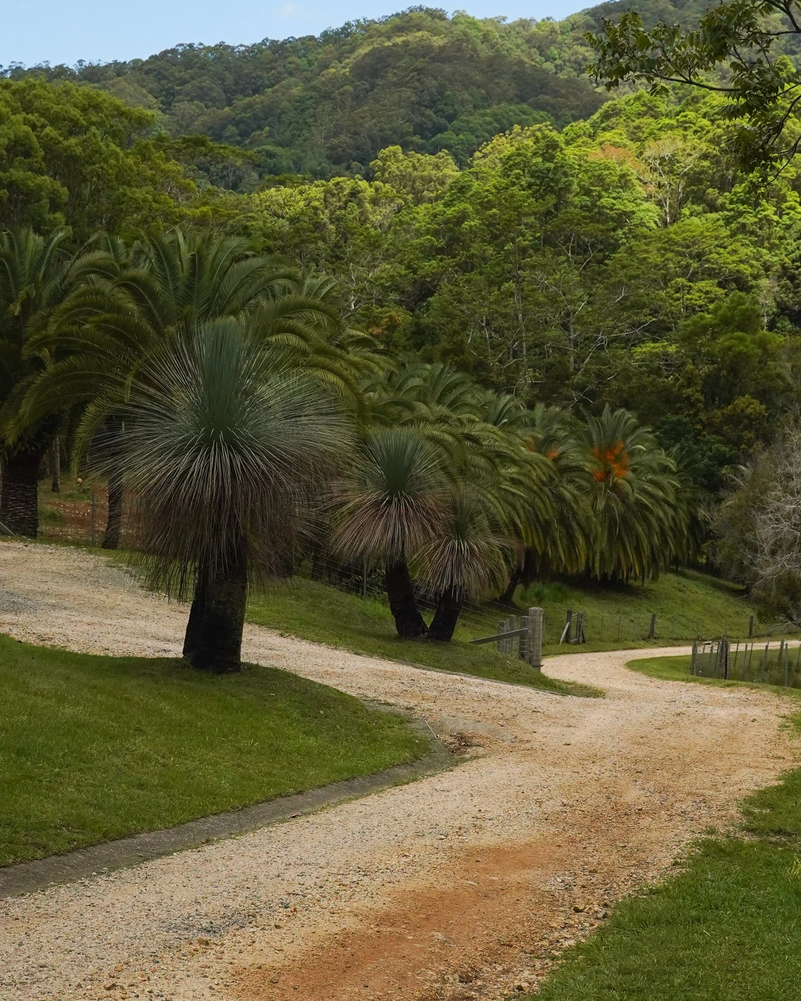 Heritage Acres Currumbin Valley
