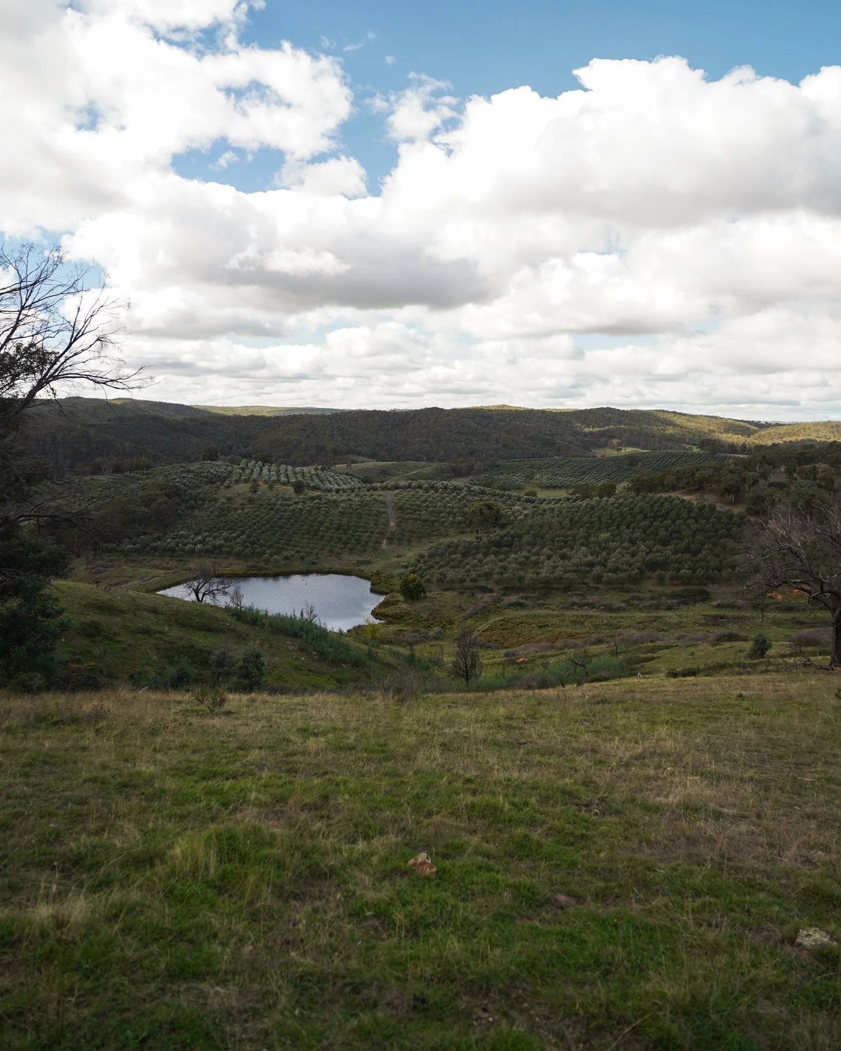 Hopeful Ranch