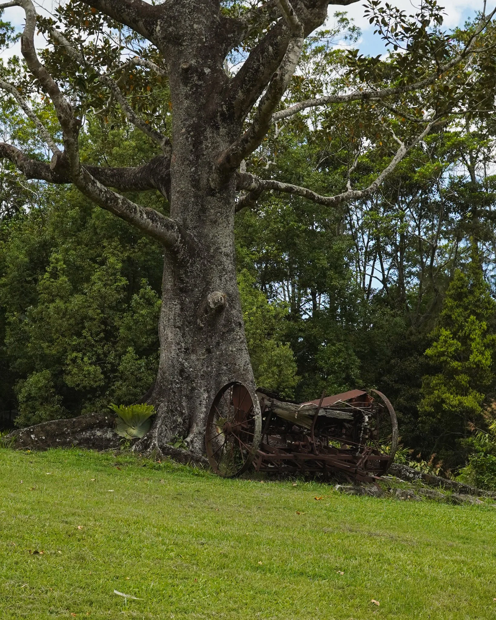 Heritage Acres Currumbin Valley