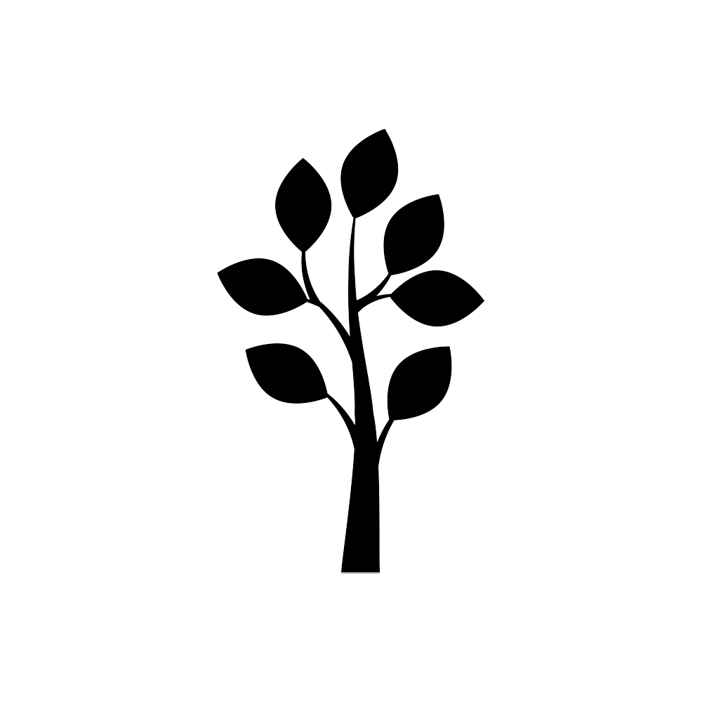 Pony Tail Palms — Heritage Acres