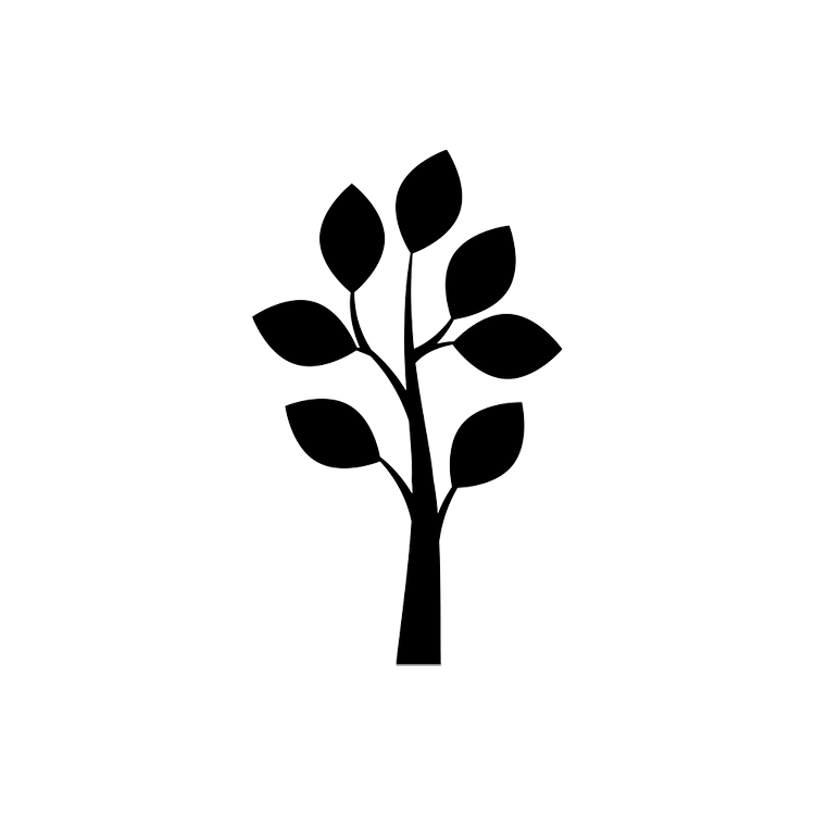 Pony Tail Palms — Heritage Acres