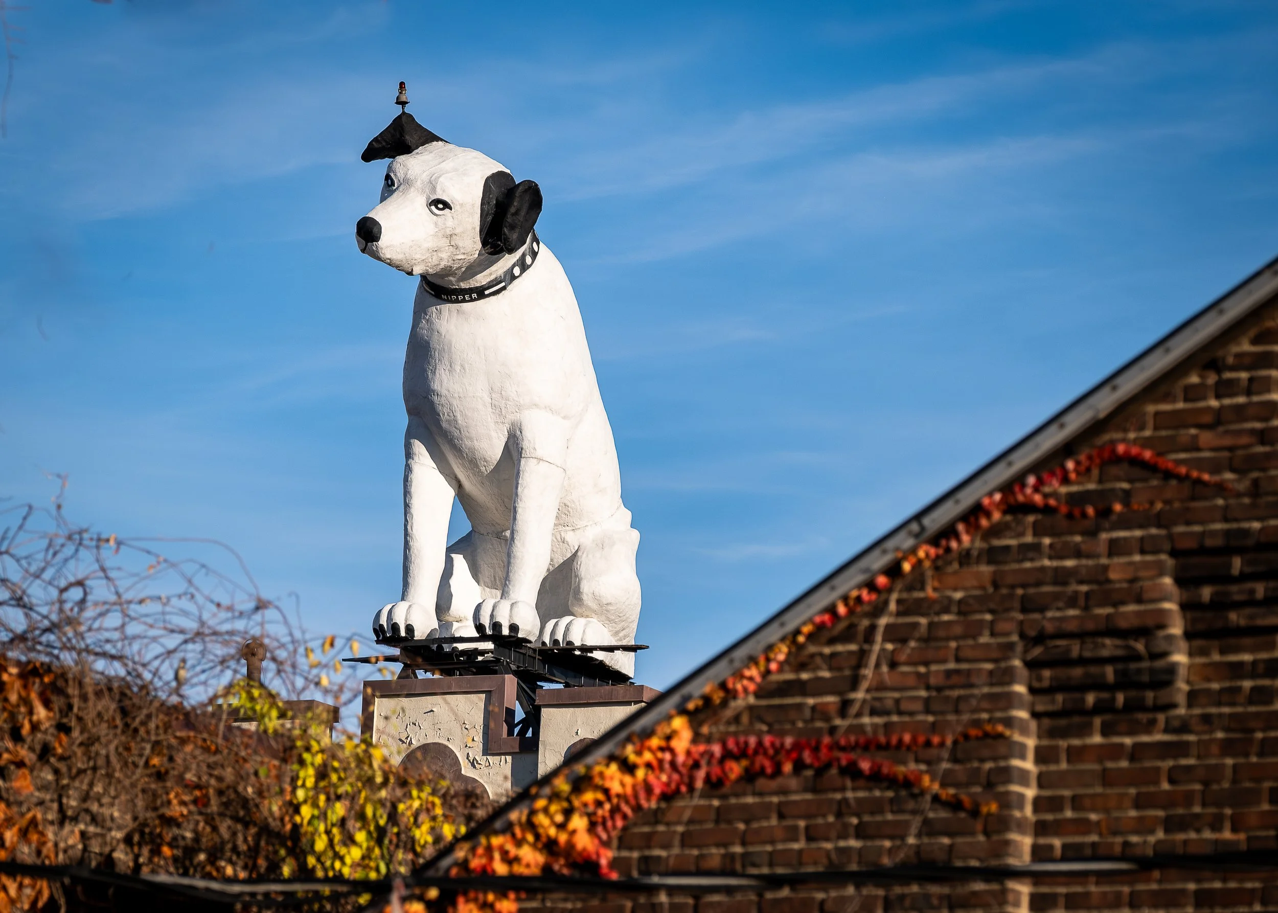 RCA Radio "Nipper" Albany New York USA