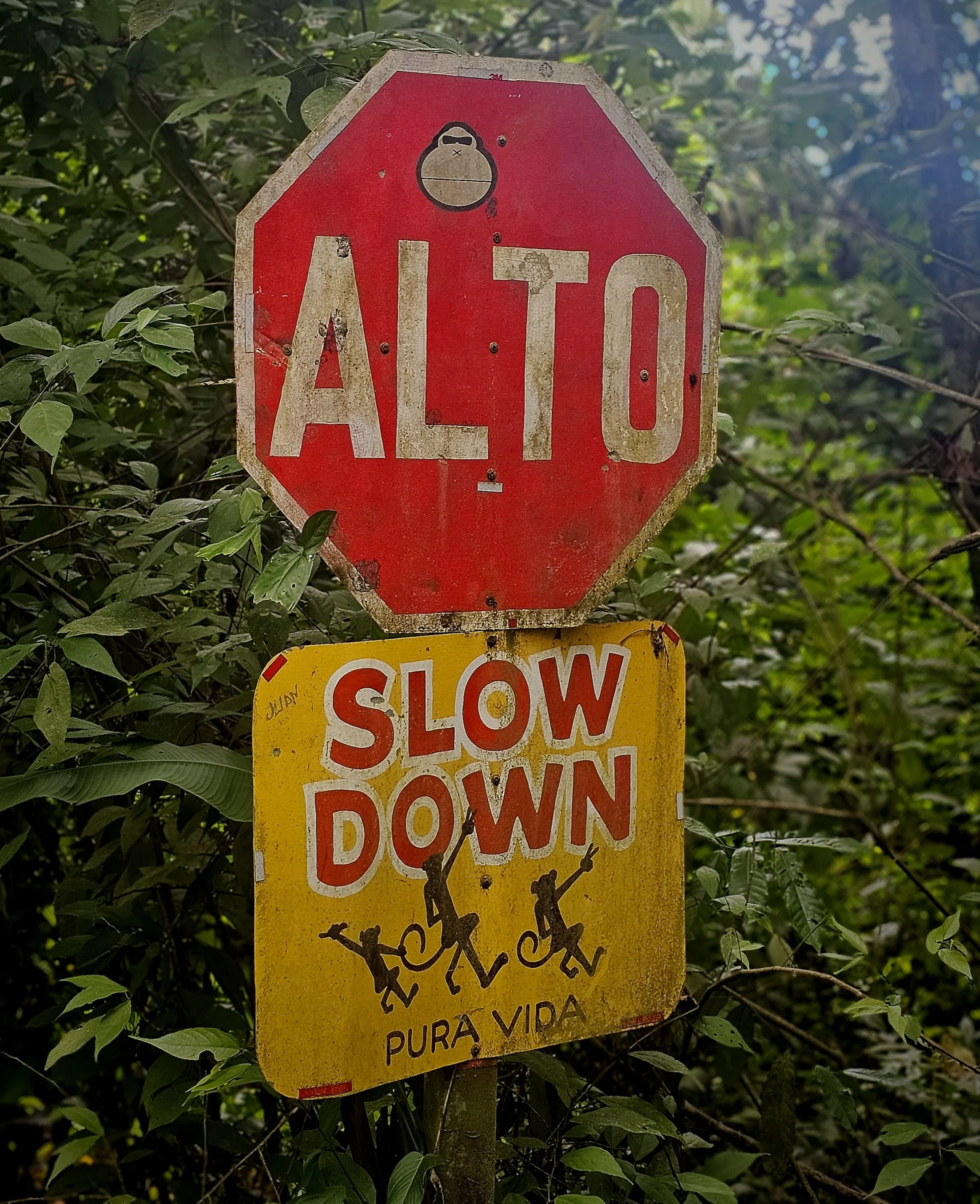 Puerto Jimenez Osa Peninsula Costa Rica