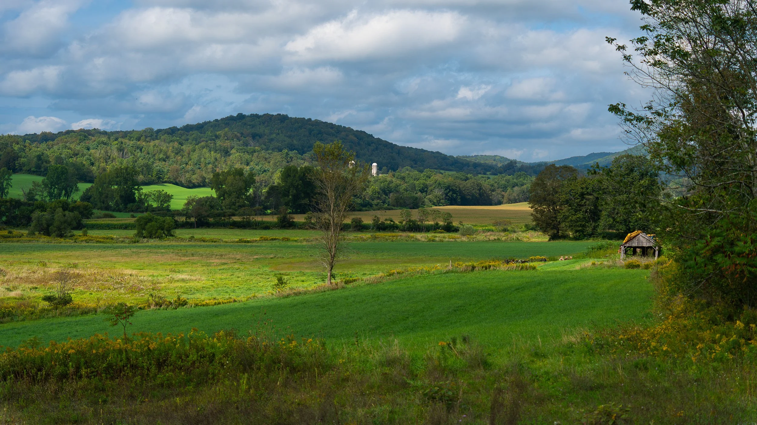 Washington County New York USA