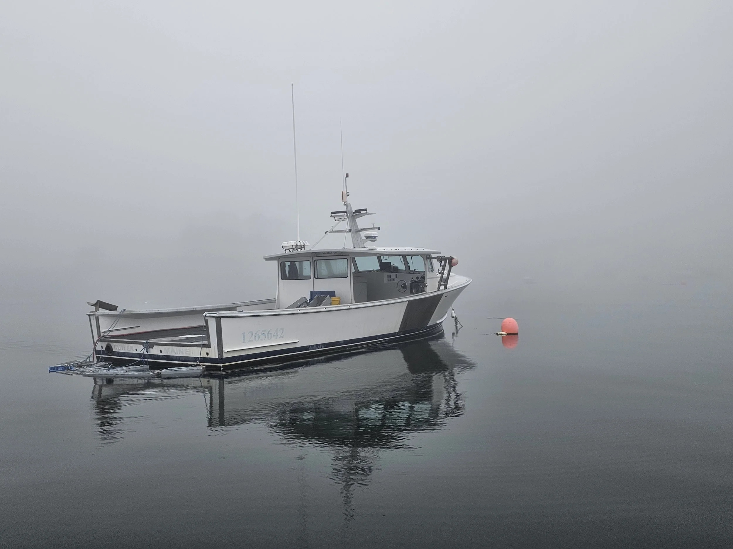 Foggy Morning, Cutler Harbor Maine USA
