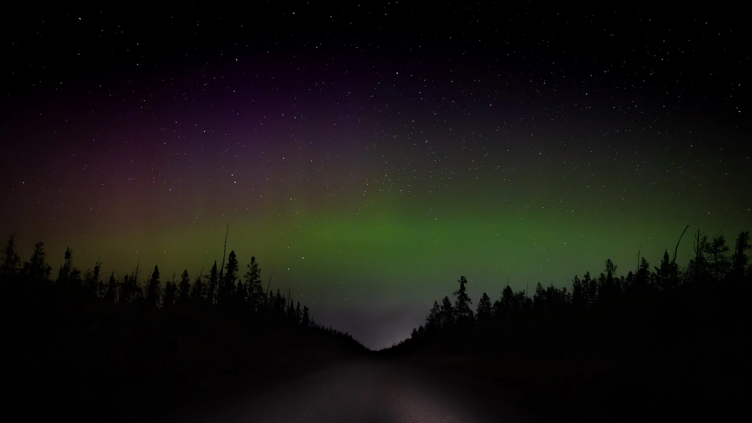 Northern Lights, Sax Zim Bog Minnesota USA