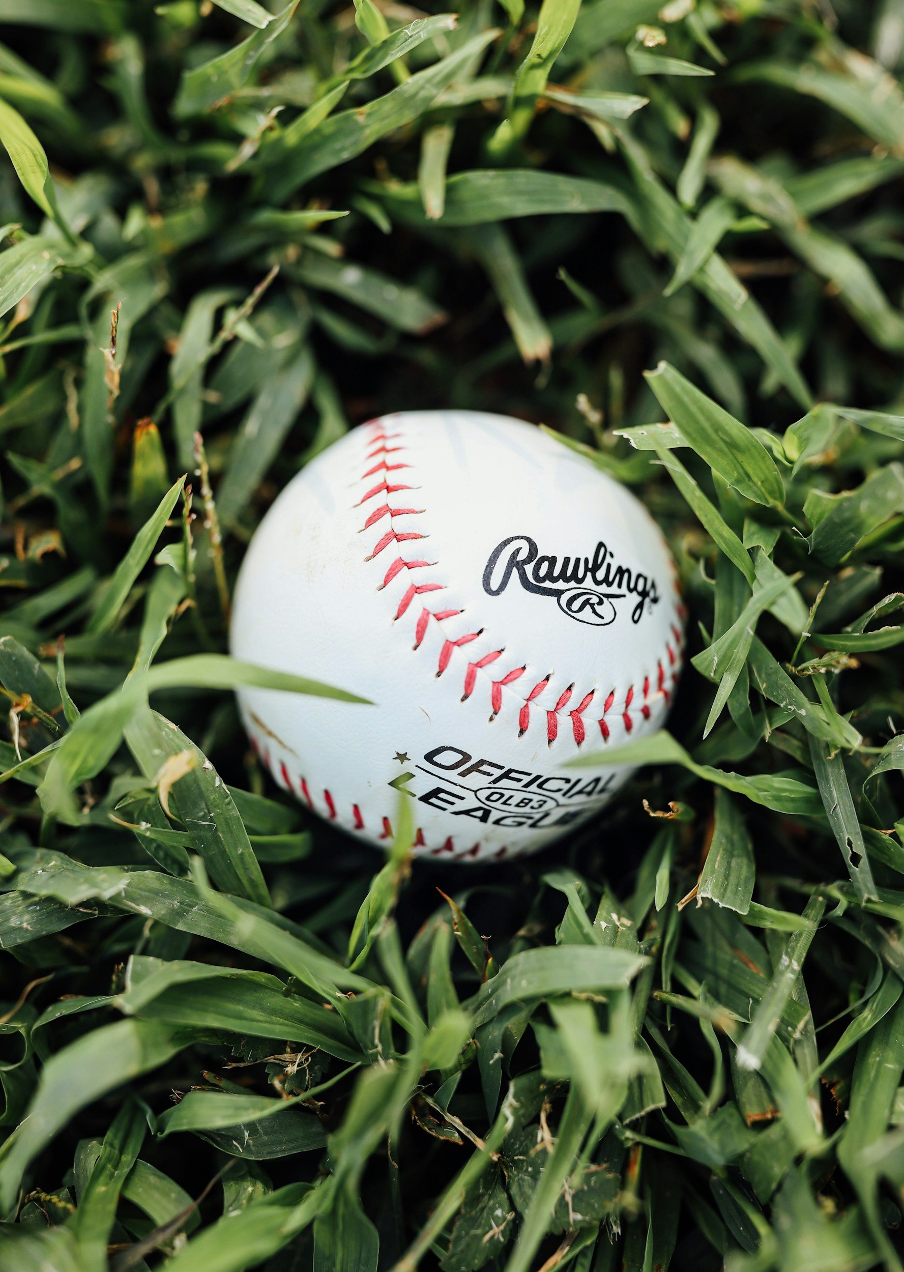 baseball therapy for athletes, sports psychology