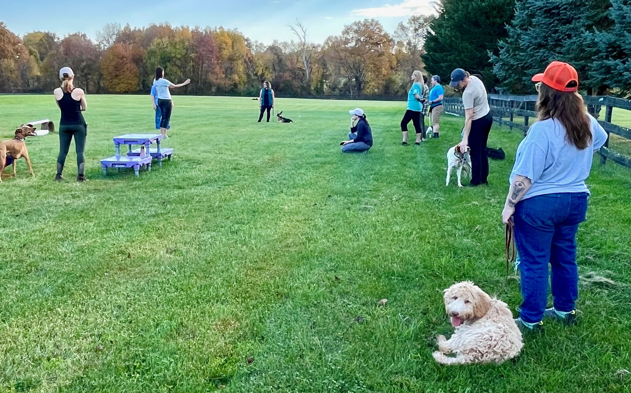 Living with Fearful Dogs Boise IDAHO June 2123, 2024 Three Days — Hart