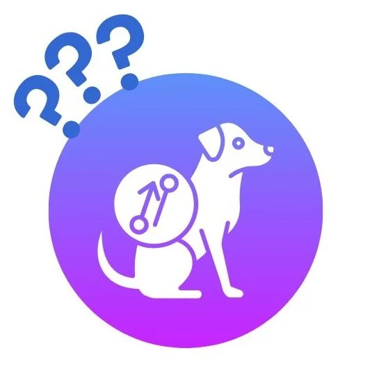 Discussion on Spaying and Neutering Dogs