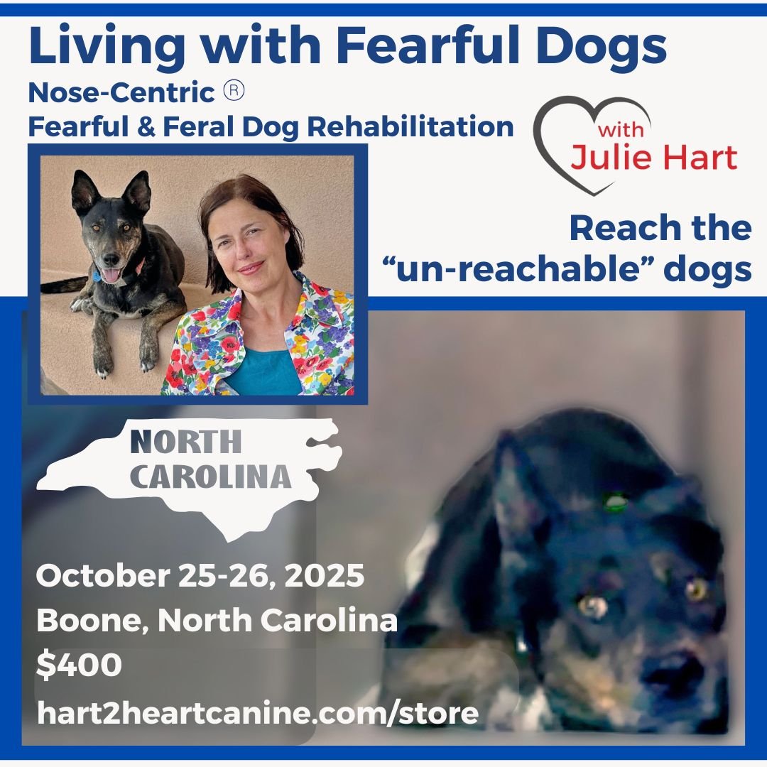 Living with Fearful Dogs NC.jpg