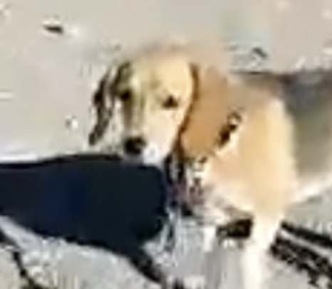 Screen Shot 2023-08-31 at 8.32.46 PM.png