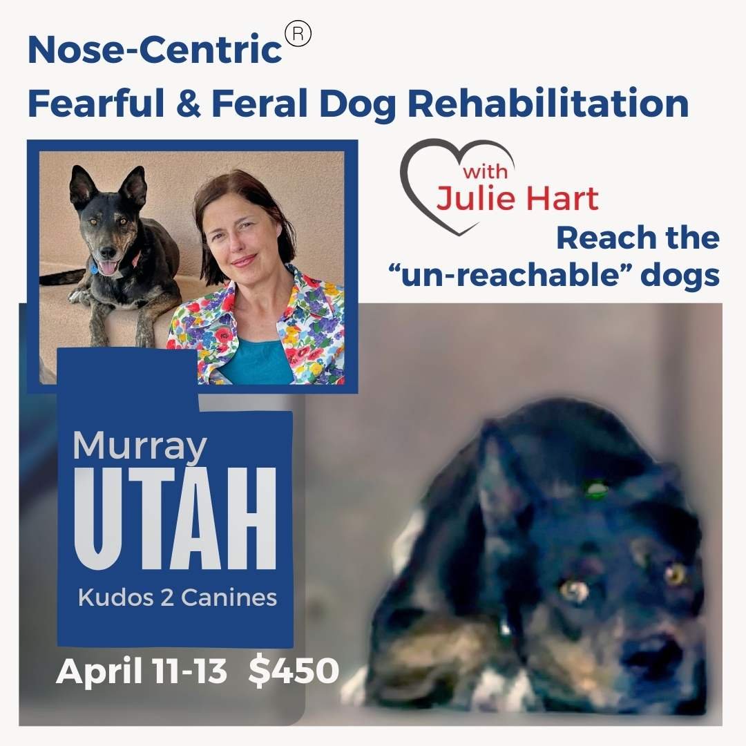 Utah 2025 workshop graphic.jpg