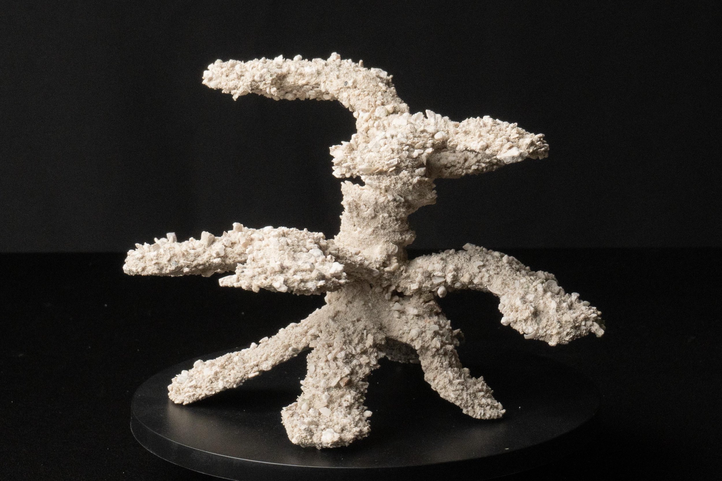 https://i.etsystatic.com/43744507/r/il/dd8a0b/6801420763/il_fullxfull.6801420763_3iz8.jpg