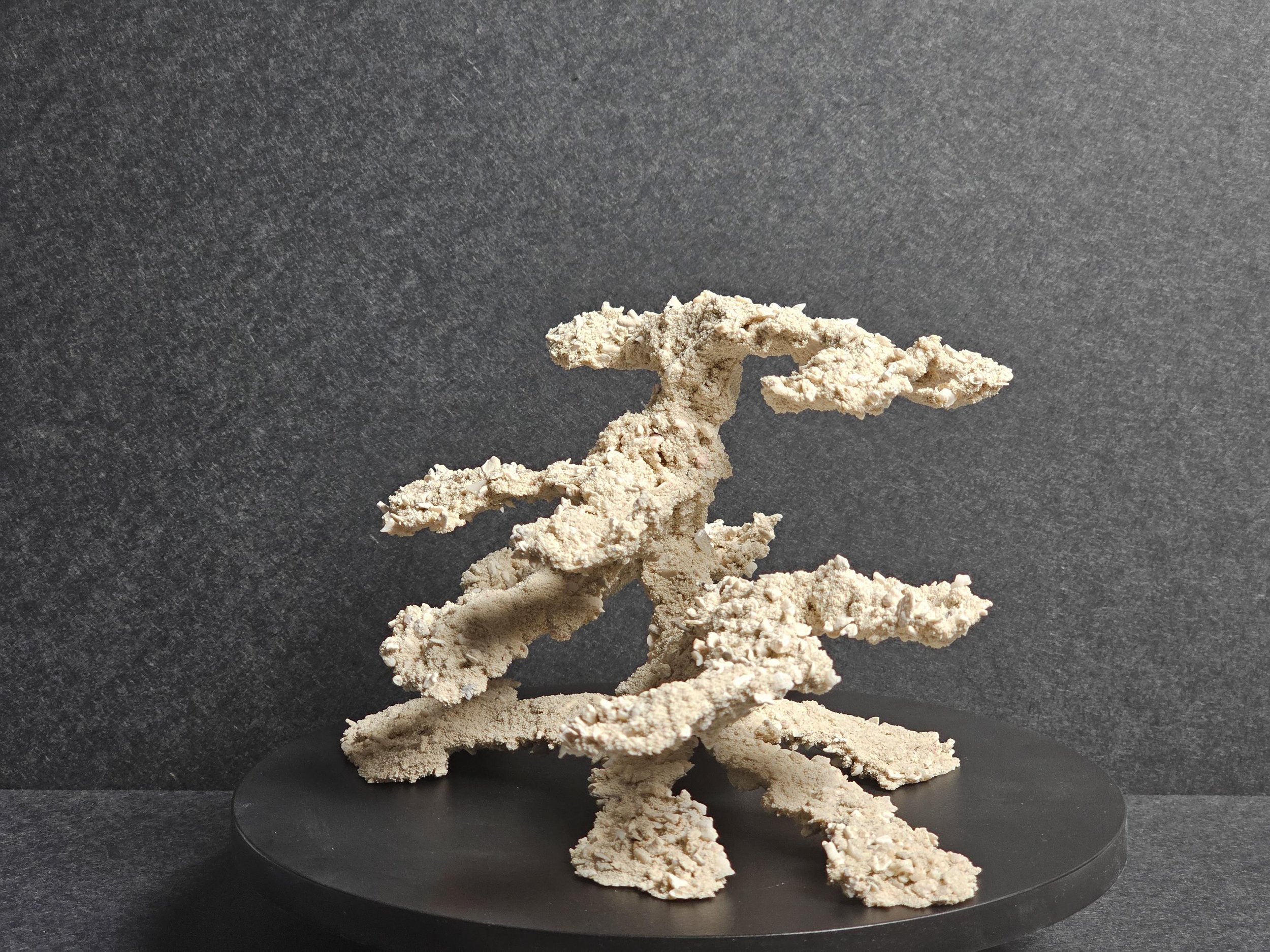 https://i.etsystatic.com/43744507/r/il/4b1c36/6715146570/il_fullxfull.6715146570_i1fa.jpg