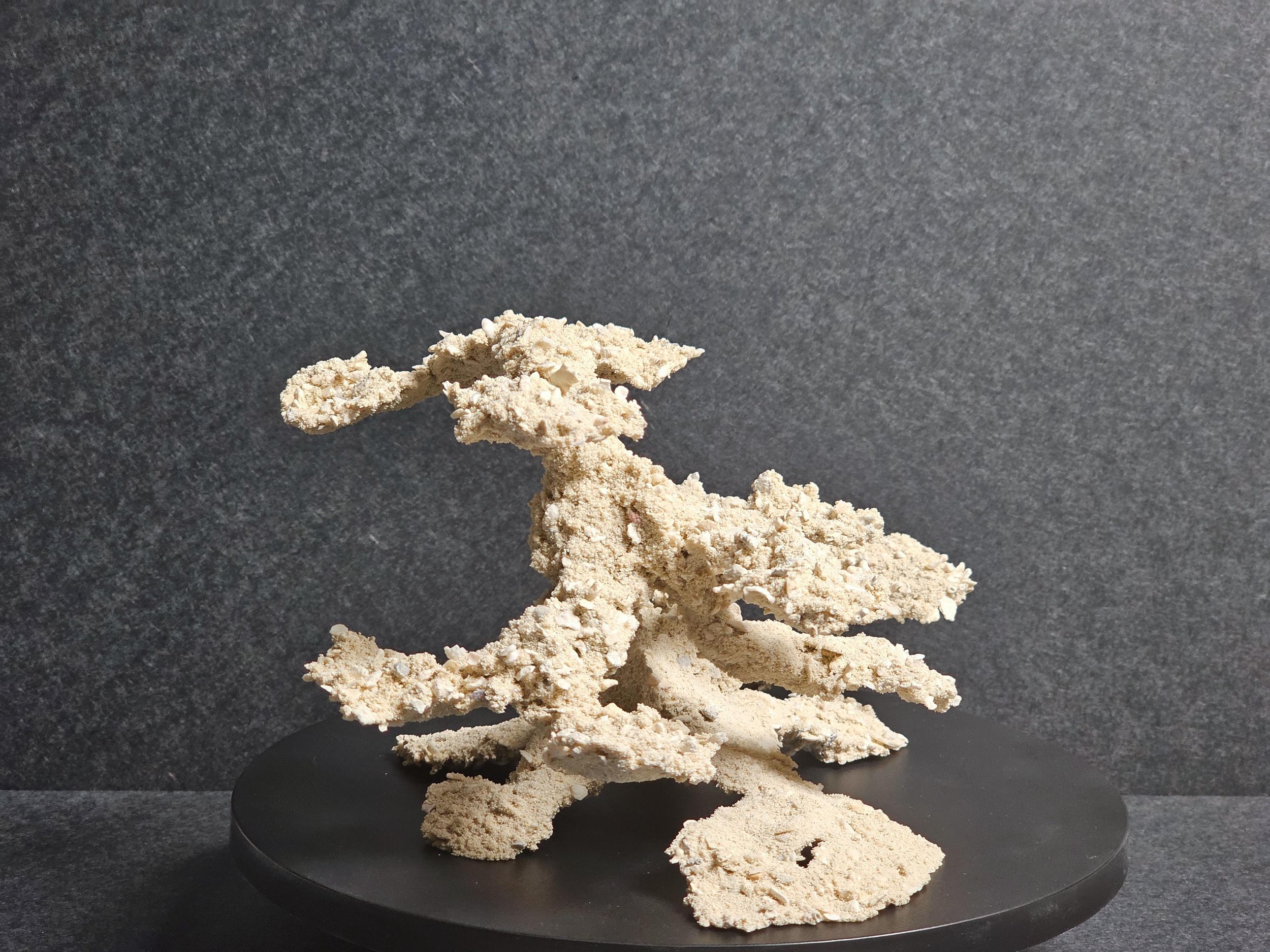 https://i.etsystatic.com/43744507/r/il/abf681/6763182487/il_fullxfull.6763182487_bzhz.jpg
