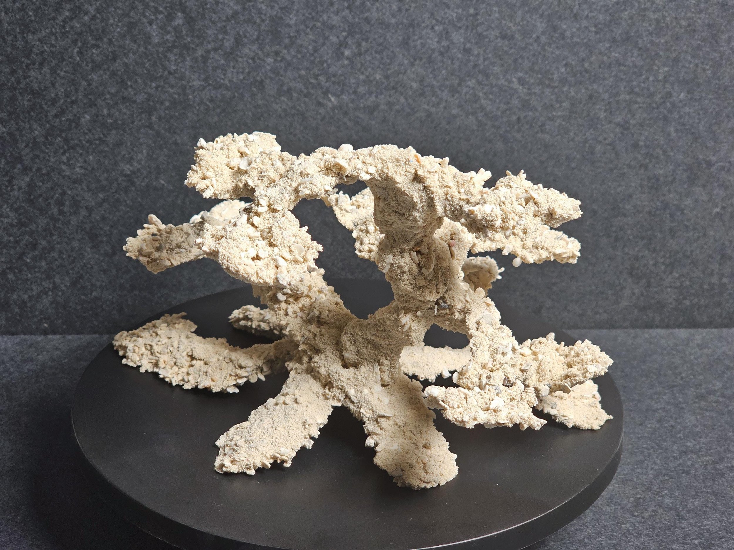 https://i.etsystatic.com/43744507/r/il/1ccf78/6763183441/il_fullxfull.6763183441_3xcw.jpg
