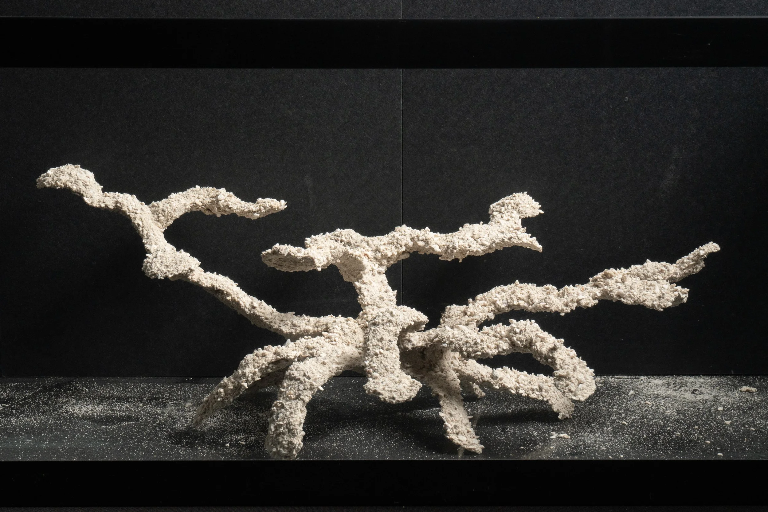 Aquascape #0009