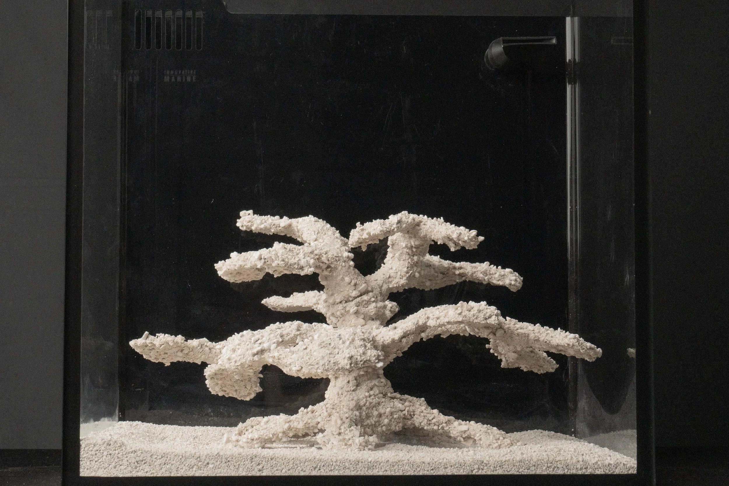 Aquascape #0006