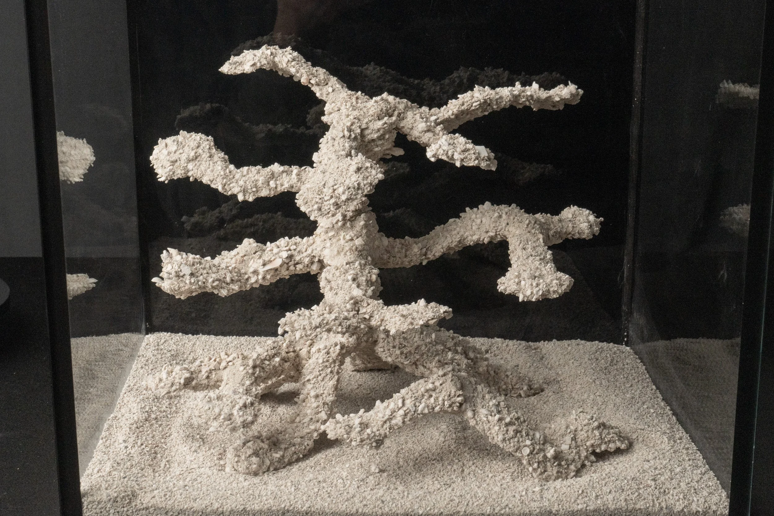 Aquascape #0007