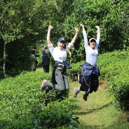 This post has nothing to do with scribbling but everything to do with one of the best days of my life 🙌🏼

12 years ago today we went gorilla trekking in Bwindi&rsquo;s Impenetrable Forest, Uganda. We didn&rsquo;t have to trek far to find these magn