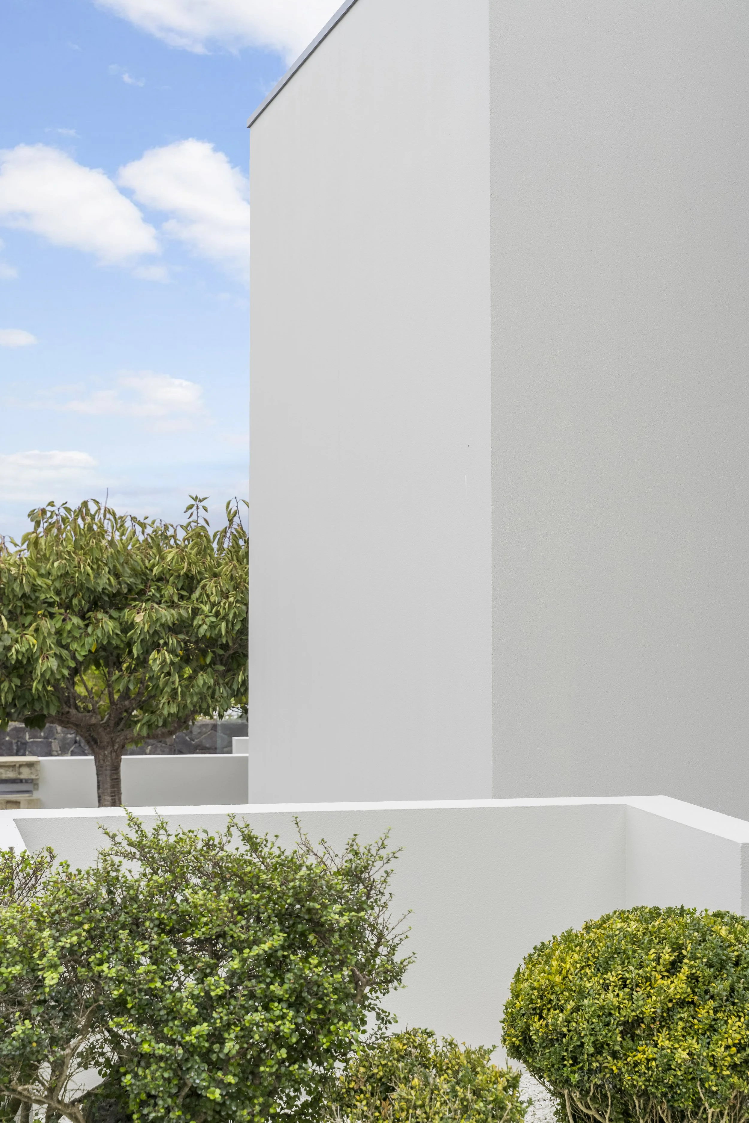 Minimalist architectural scene with a white wall, green shrubs, and a tree against a blue sky with clouds.
