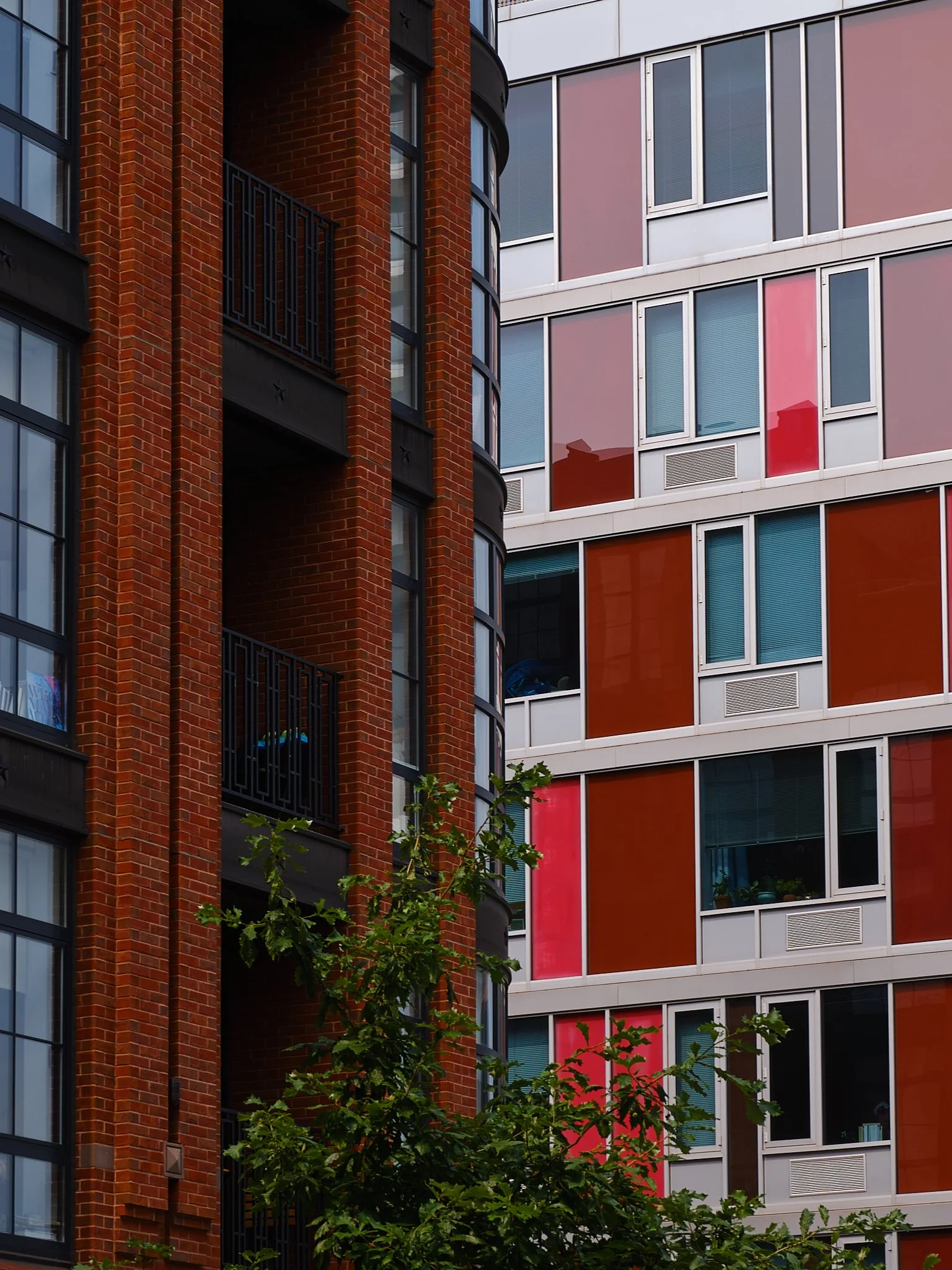 SJC_FUJ_GFX_No Privacy.jpg