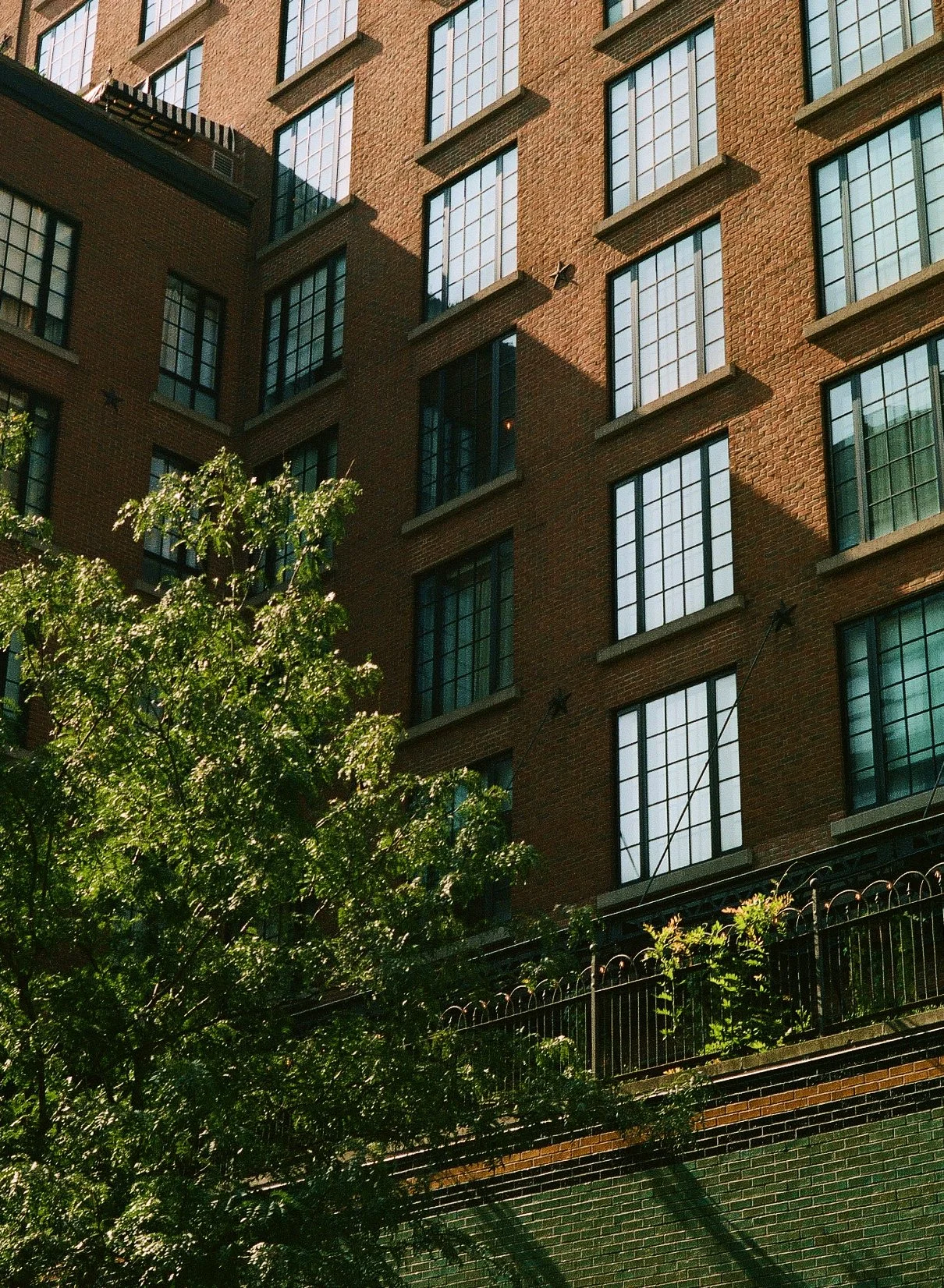SJC_FUJ_GS645_KodakPortra400iso400_Tree Windows.jpg